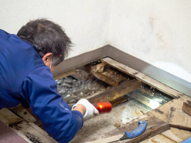 Best Mold Testing and Removal  in Tyler Run, PA