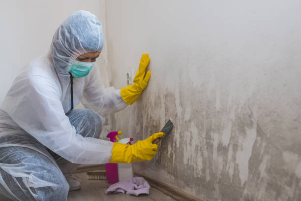 Best Crawl Space Mold Removal  in Tyler Run, PA