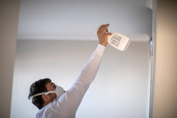 Best Mold Damage Repair  in Tyler Run, PA
