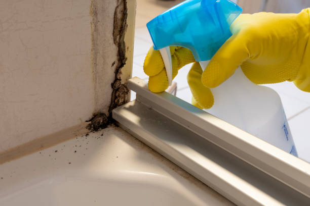 Best Mold Cleaning Services  in Tyler Run, PA