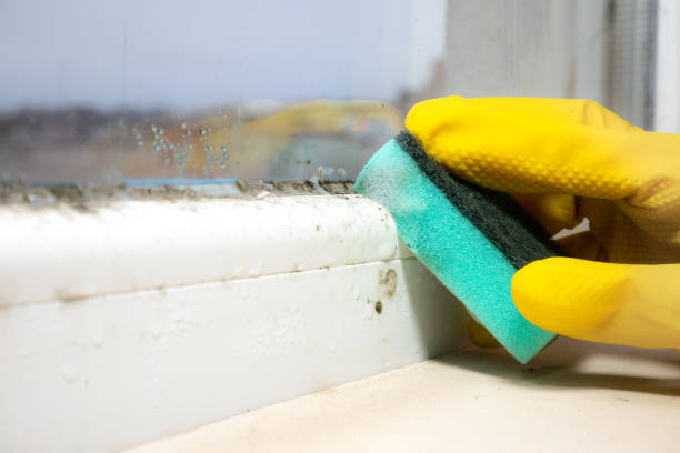 Best Mold Removal Near Me  in Tyler Run, PA