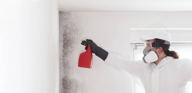 Best Mold Testing  in Tyler Run, PA