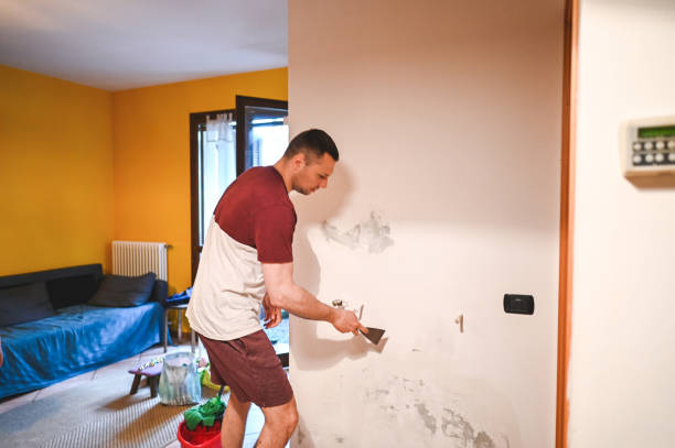 Best Fast Mold Removal  in Tyler Run, PA